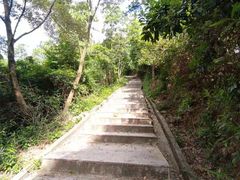 -火炉山森林公园