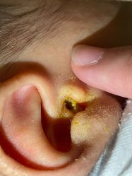 -皇家月府月子中心(沈阳店)