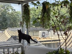 -小时光咖啡馆(北锣鼓巷店)