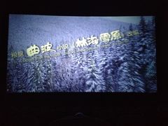 -博纳国际影城(淄博店)