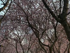 -白塘生态植物园