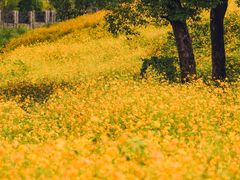 -杭州野生动物世界