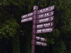 -华西村