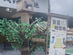 -DGE季风钓虾营地·团建·聚会