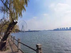 -无锡蠡湖国家湿地公园-蠡园