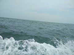 -日照灯塔风景区