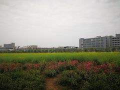 -光明小镇欢乐田园
