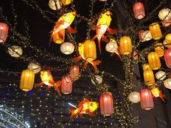 -龙湖星悦荟(颐和店)