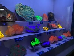 -湖南省地质博物馆