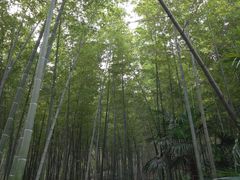 -南山风景名胜区