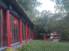 -中卫御苑福膳·养生局(圆明园店)