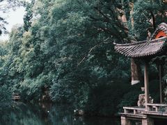 -趵突泉景区