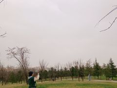 -洨河生态公园