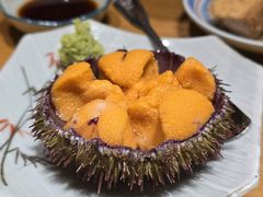-桂马·日本料理·海胆·海鲜饭·酒场(民主广场店)