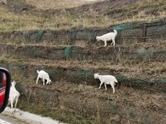 -新疆那拉提国家旅游度假区