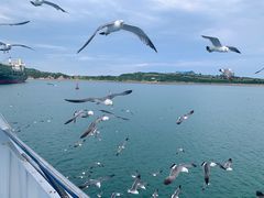 -海驴岛(荣成市)