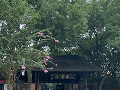 -上海方塔园