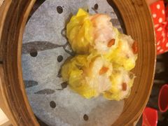 添好运点心专门店(北角店)-添好运点心专门店(北角店)