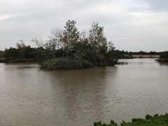 -日照海滨国家森林公园