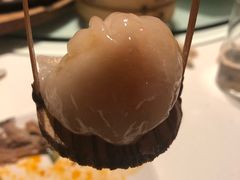 -金鼎轩(亚运村店)