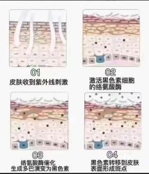 -+MS卓美丝专业祛痘·皮肤管理中心