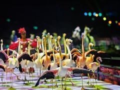 -广州长隆国际大马戏