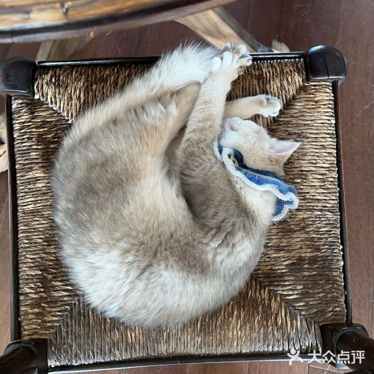 乌鲁木齐咖啡店！！好好喝！！好好拍！！