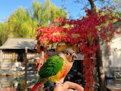 -三忘湖 SWANSEEN(柳荫公园店)