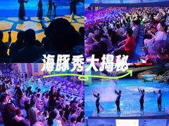 -海合安武汉极地海洋公园