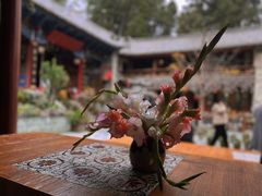 -寂照庵