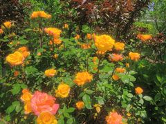 -渭南桃花源民俗文化园