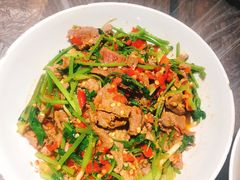 香菜炒牛肉-壹盏灯(惠农店)