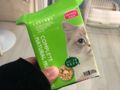 -喵的天空名猫咖啡馆·撸猫·猫舍·用品