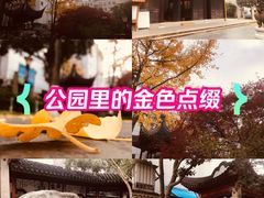 -常州古运河南大街文化旅游区-人民公园