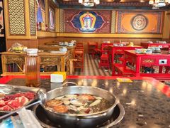 -金鼎雪山牦牛杂火锅(理县总店)