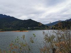 -广州市流溪河国家森林公园