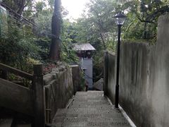 -南山植物园