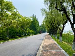 -太阳岛度假酒店