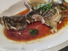 -莆鑫海鲜城(浏河店)