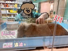 -雨林宠物医院 非犬猫异宠专科