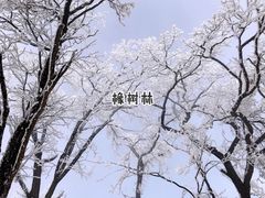-洛阳伏牛山滑雪场