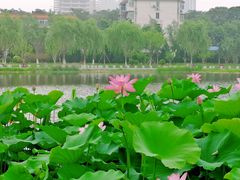 -西海子公园
