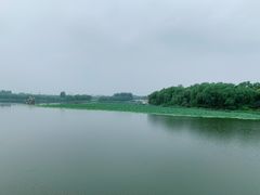 -大兴滨河森林公园