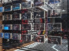 -EVE格斗健身工作室(周康店)