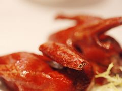 茶皇烟熏鸽-伯衡55·吉品轩(乌鲁木齐南路店)