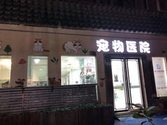 -特一安24小时宠物医院·骨科·中兽医