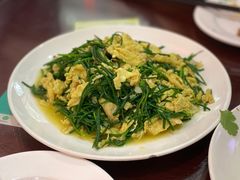 沙葱炒蛋-范记靖远羊羔肉(博物馆店)
