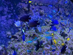 -成都浩海立方海洋公园