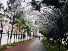 -艾溪湖湿地公园