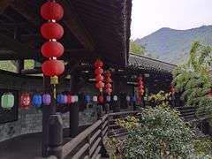 -大唐贡茶院
